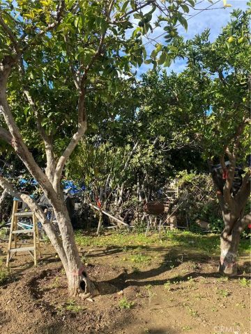 1129 N Alma Avenue, Los Angeles, CA 90063