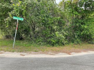 TBD Lot 59 MALAUKA RADIAL TRAIL, Ocklawaha, FL 32179