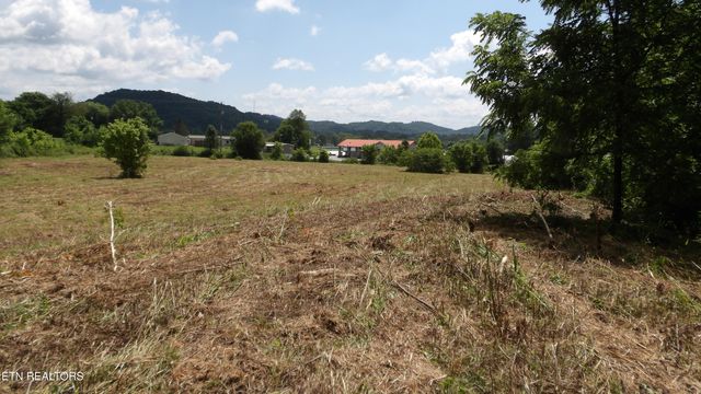 5.6 ac Lonnie Reecer Rd, Celina, TN 38551