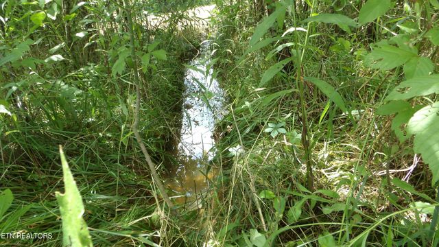 5.6 ac Lonnie Reecer Rd, Celina, TN 38551