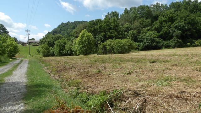 5.6 ac Lonnie Reecer Rd, Celina, TN 38551