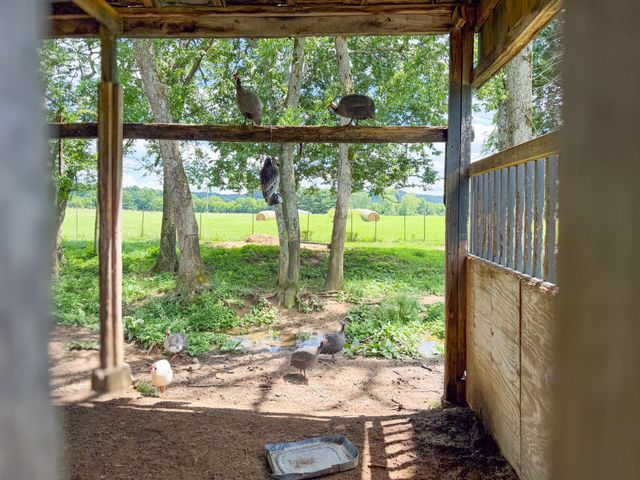 1342 Buchanan Creek Rd, Pulaski, TN 38478