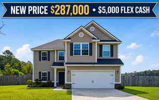 110 Dove Run Drive NE, Ludowici, GA 31316