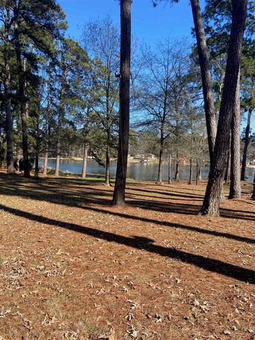 148 CR 2244 WEBB RD, Daingerfield, TX 75563