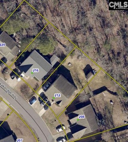 212 Walkbridge Way, Chapin, SC 29036