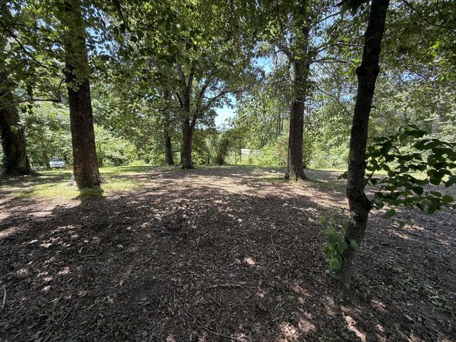 4642 Highway 43, N, Summertown, TN 38483
