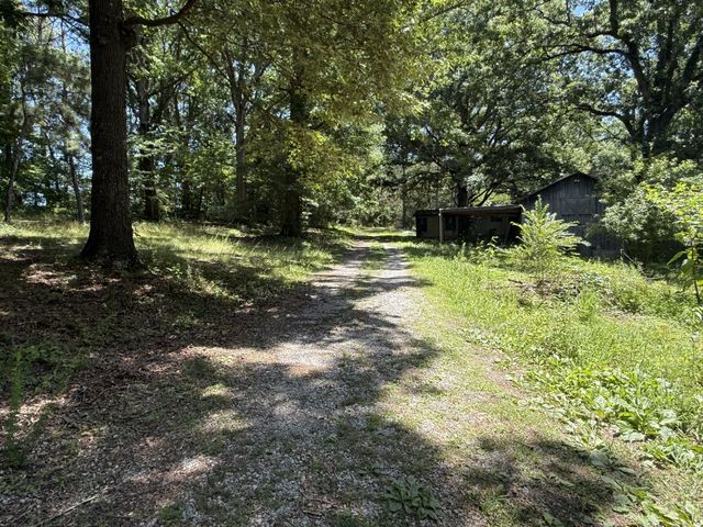 4642 Highway 43, N, Summertown, TN 38483