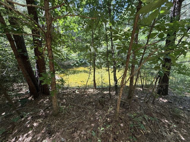 4642 Highway 43, N, Summertown, TN 38483