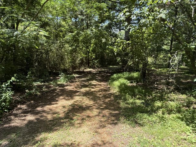 4642 Highway 43, N, Summertown, TN 38483