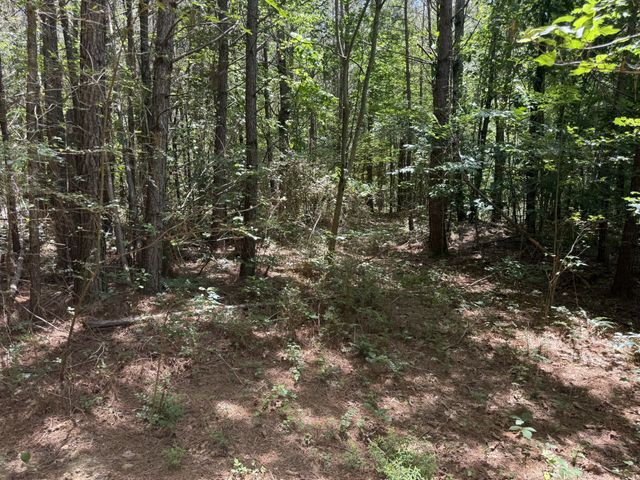 4642 Highway 43, N, Summertown, TN 38483