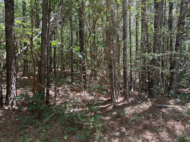 4642 Highway 43, N, Summertown, TN 38483