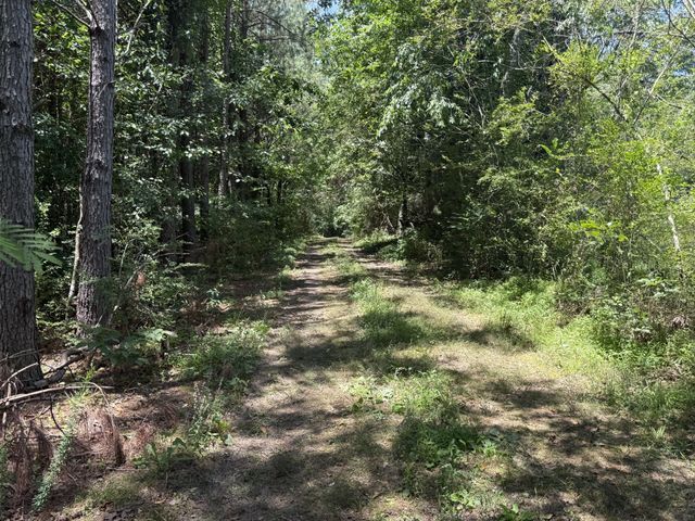 4642 Highway 43, N, Summertown, TN 38483