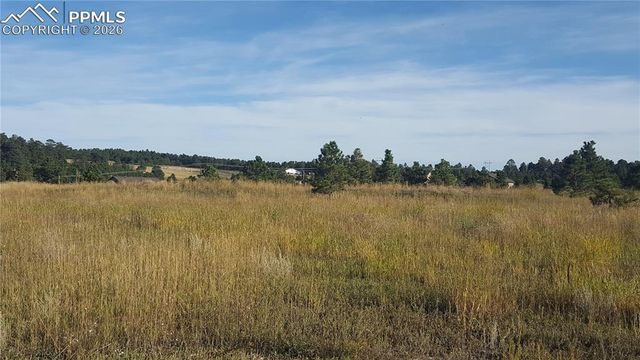 16935 Oldborough Heights, Monument, CO 80132