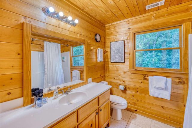 307 Bent Wood Lane, Blue Ridge, GA 30513