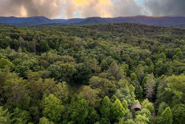 307 Bent Wood Lane, Blue Ridge, GA 30513