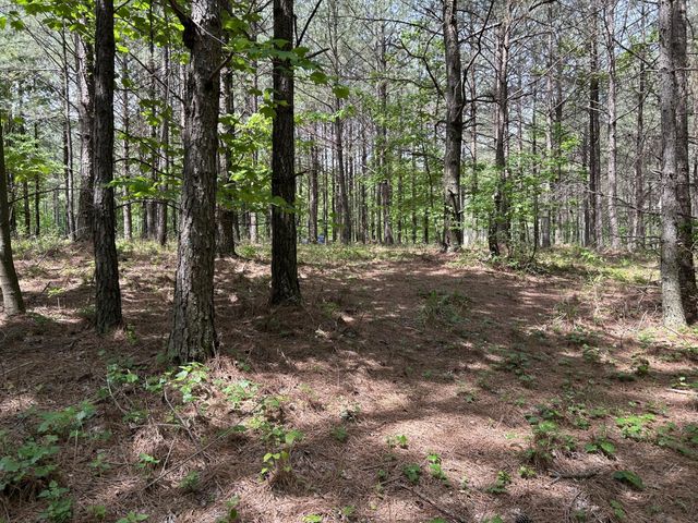 290 Bear Trace Drive, Jasper, TN 37347