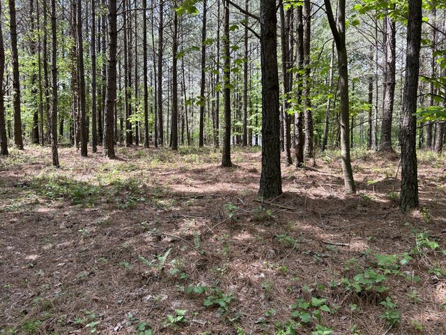 290 Bear Trace Drive, Jasper, TN 37347