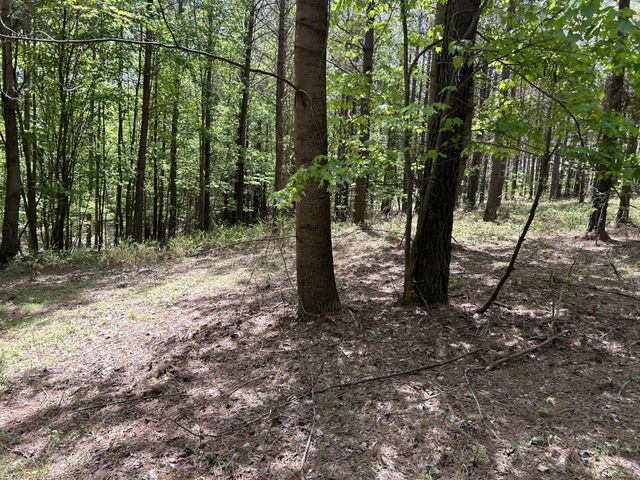 290 Bear Trace Drive, Jasper, TN 37347