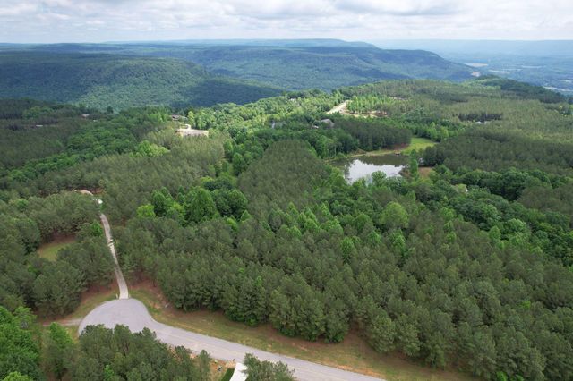 290 Bear Trace Drive, Jasper, TN 37347
