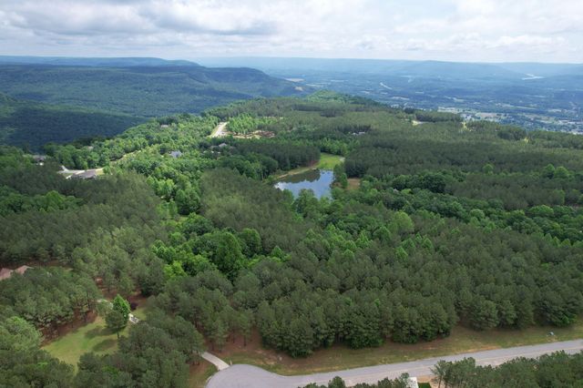 290 Bear Trace Drive, Jasper, TN 37347