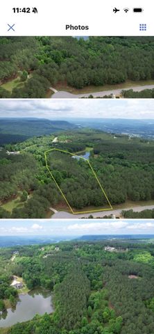 290 Bear Trace Drive, Jasper, TN 37347