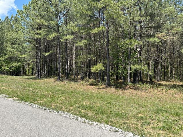 290 Bear Trace Drive, Jasper, TN 37347