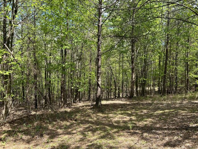 290 Bear Trace Drive, Jasper, TN 37347