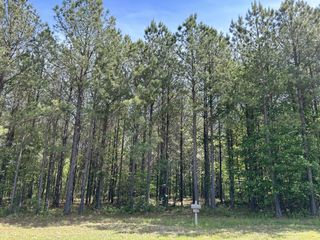 290 Bear Trace Drive, Jasper, TN 37347