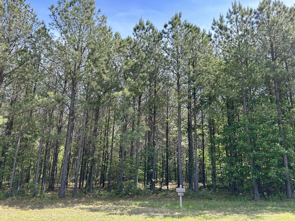 290 Bear Trace Drive, Jasper, TN 37347