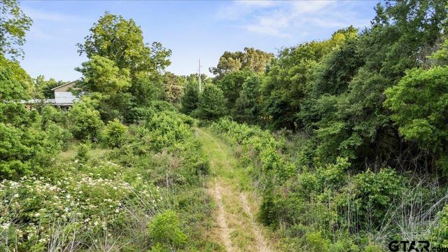 0 CR 384, Tyler, TX 75708