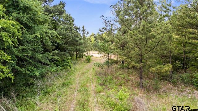 0 CR 384, Tyler, TX 75708