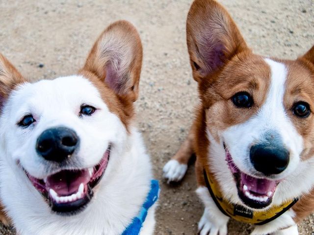 2200 McFly ST 6103, Austin, TX 78723