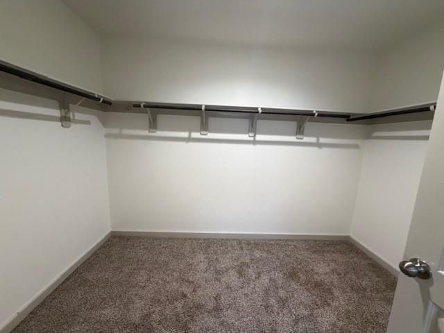 8107 Precious Passing Way, Rosharon, TX 77583