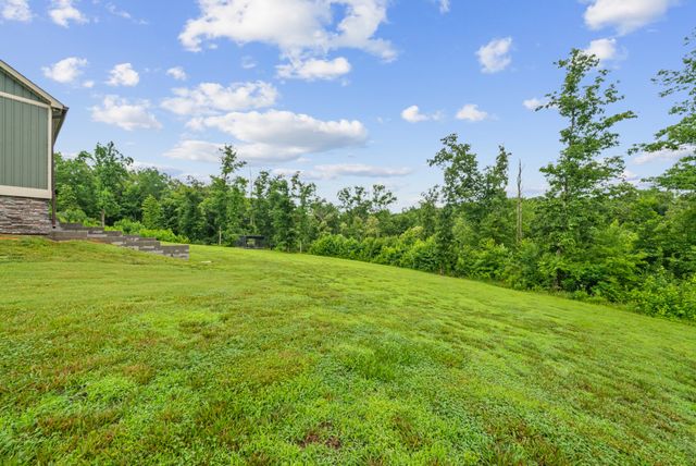 217 Rockhouse Rd, Hohenwald, TN 38462