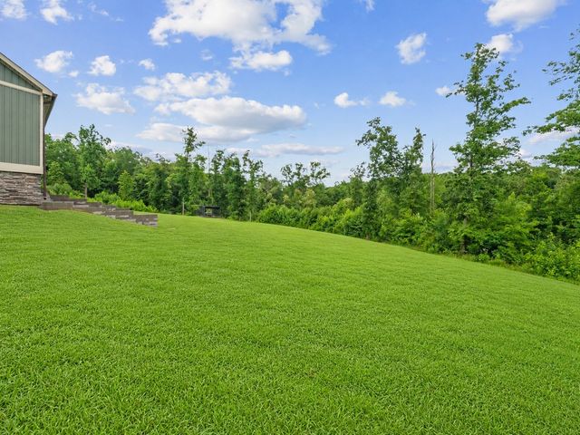 217 Rockhouse Rd, Hohenwald, TN 38462