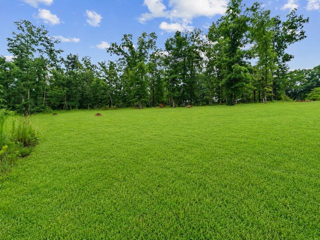 217 Rockhouse Rd, Hohenwald, TN 38462