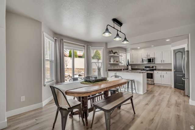 338 W RYE DR, Saratoga Springs, UT 84045