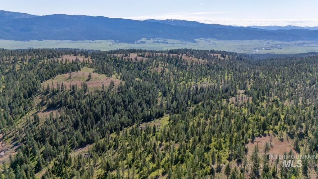 TBD1 Us-95, New Meadows, ID 83654 photo 14
