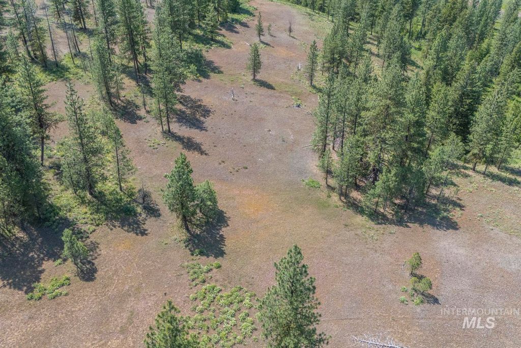 TBD1 Us-95, New Meadows, ID 83654 photo 2