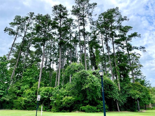 67 N Glenwild Circle, Spring, TX 77389