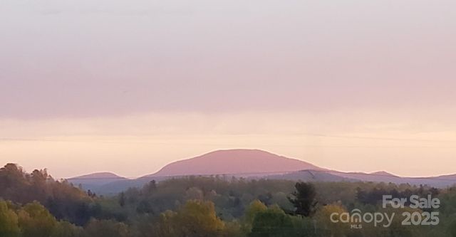 119 Tryon View Drive, Flat Rock, NC 28731