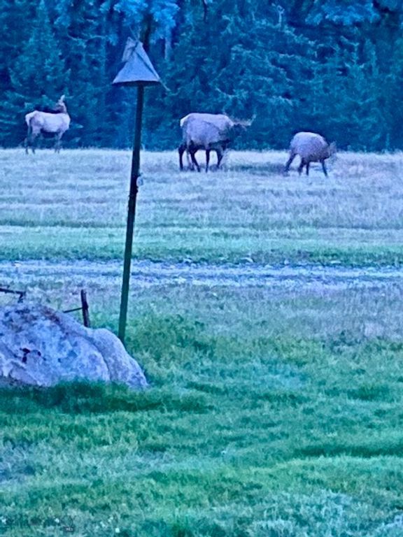 1876 Timber Creek Road, Saint Regis, MT 59866 photo 77