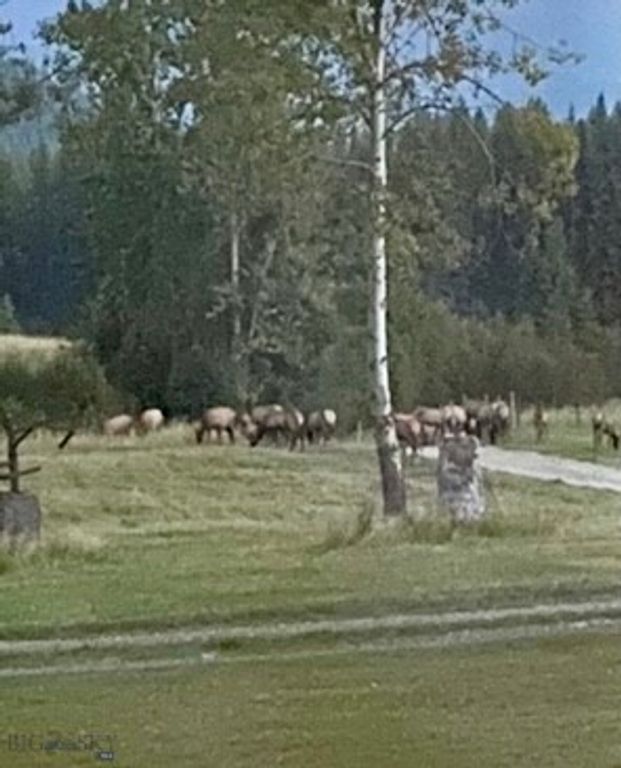 1876 Timber Creek Road, Saint Regis, MT 59866 photo 79