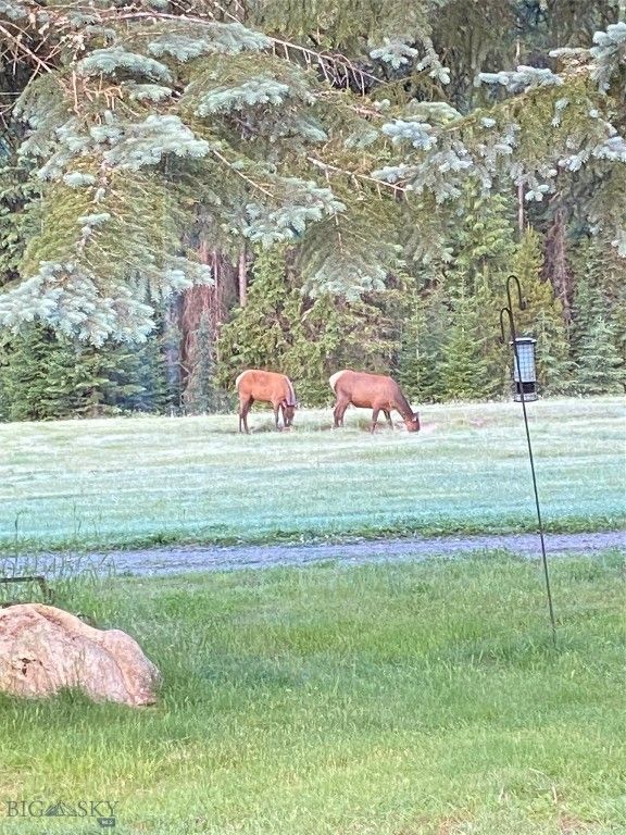 1876 Timber Creek Road, Saint Regis, MT 59866 photo 80