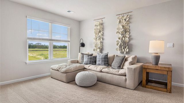 378 Hadley Springs Ave, Longs, SC 29568