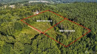 0 Lot Parcel WD1001042, Kelso, WA 98626