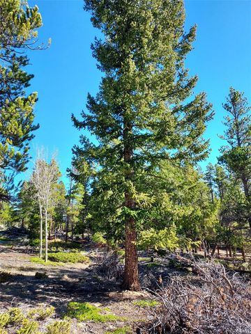 000 Frank C, Idaho Springs, CO 80452