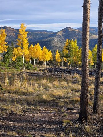000 Frank C, Idaho Springs, CO 80452