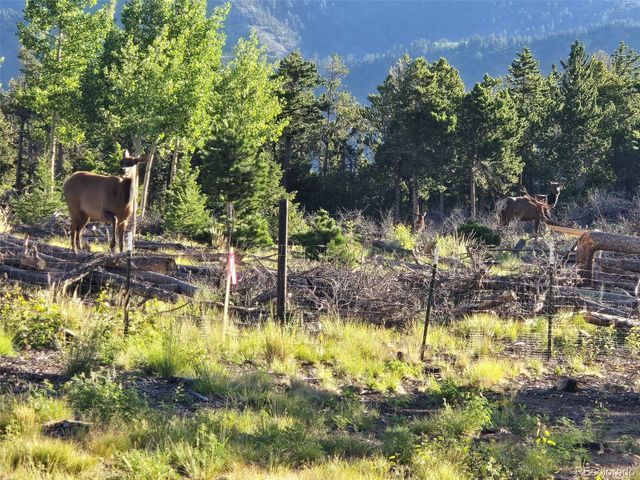 000 Frank C, Idaho Springs, CO 80452