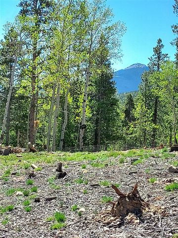 000 Frank C, Idaho Springs, CO 80452